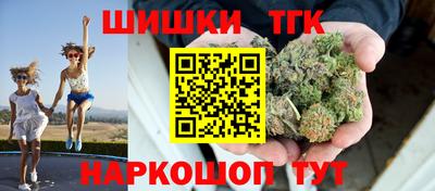 индика Жуковский
