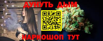 индика Жуковский