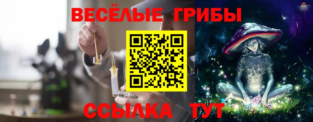 даркнет сайт  Псилоцибиновые грибы Magic Shrooms  Вход с VPN  Муром 