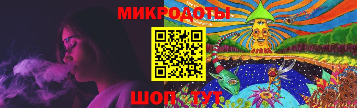 Галлюциногенные грибы Psilocybe Муром